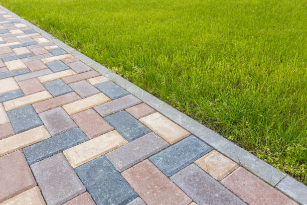 Best Local Driveway Pavers  in Red Lake, MN
